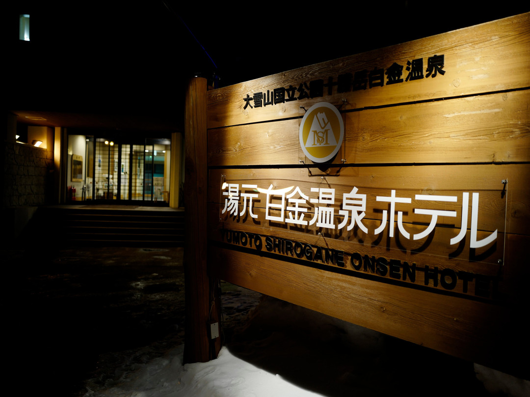 汤元白金温泉酒店主图