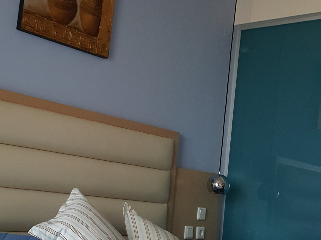 Pantheon Hotel主图