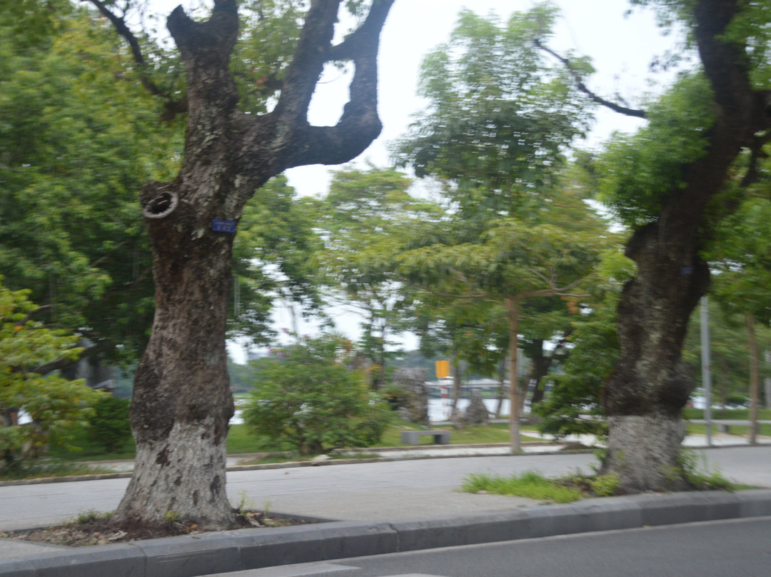 Hue Walking Street景点图片