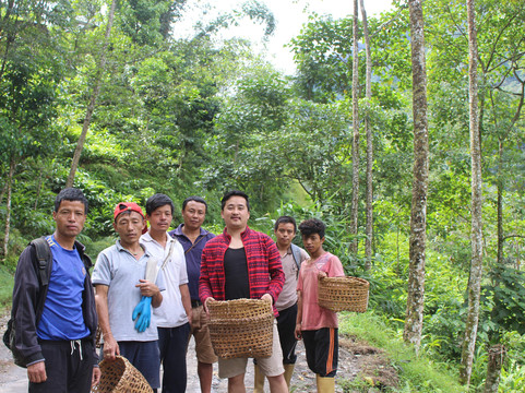 TripLounger Sikkim-甘托克必去景点