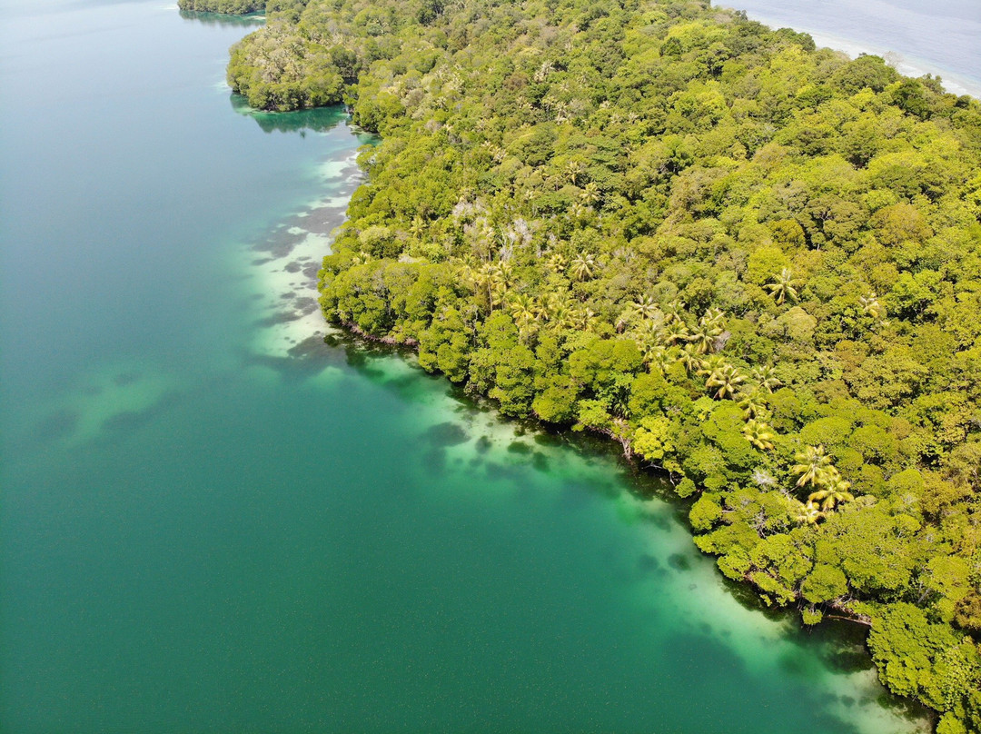 Kakaban Island景点图片