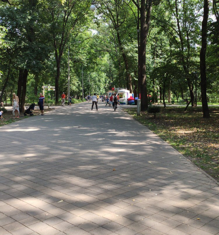Chistyakovskiy Grove Park景点图片