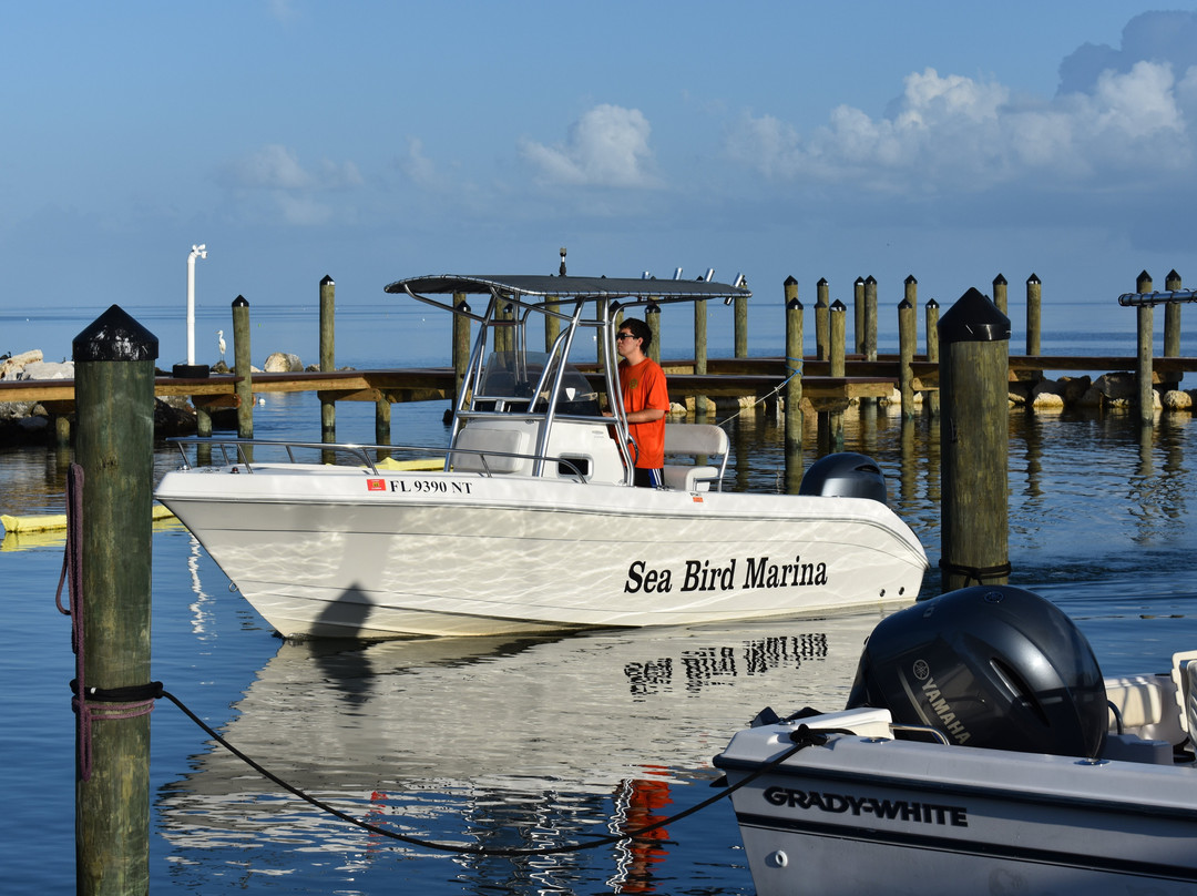 Sea Bird Marina-Long Key必去景点