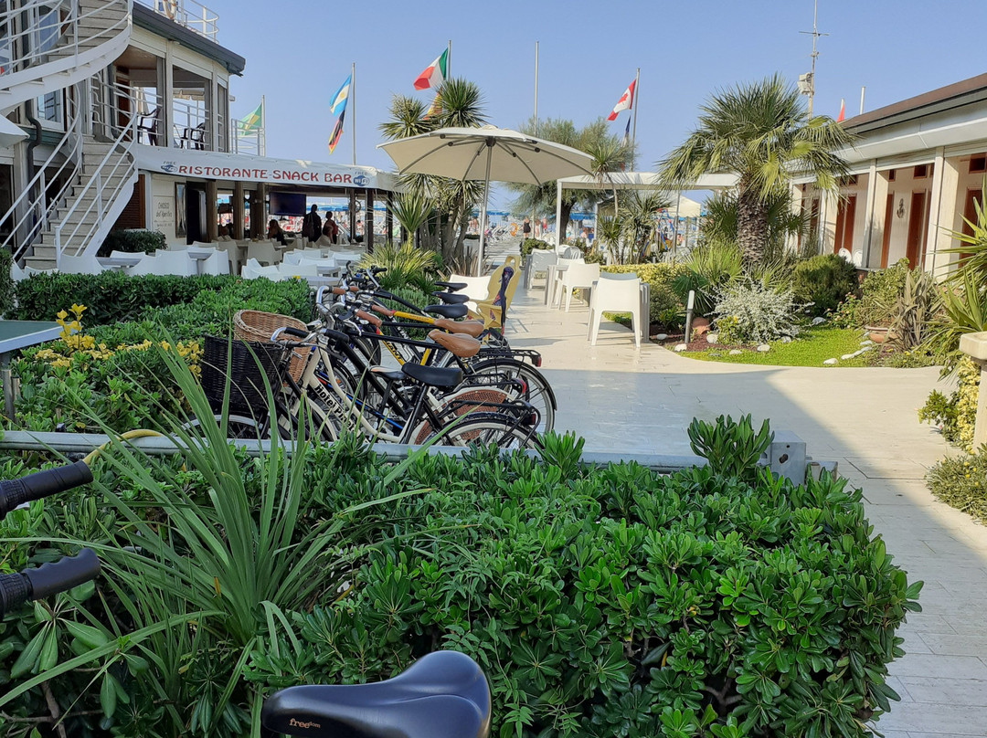 Hotel Pineta Mare主图