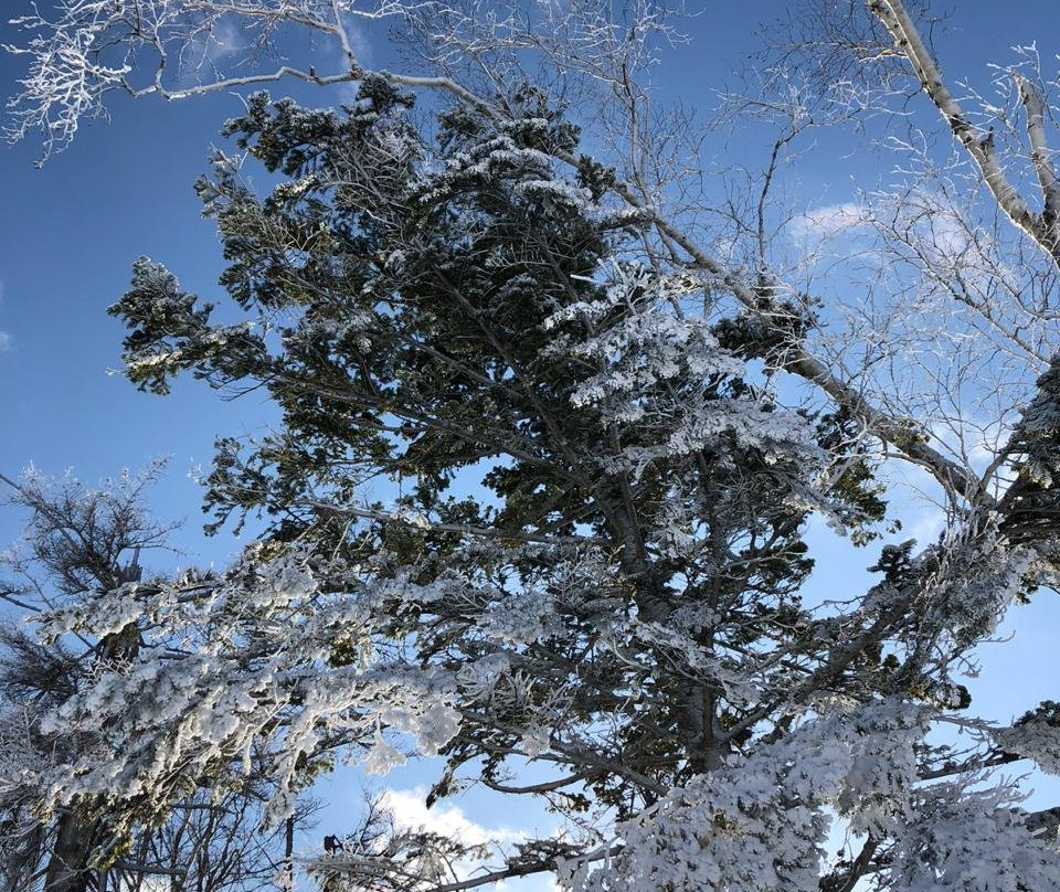 Gorny Vozduh (Mountain Air)景点图片