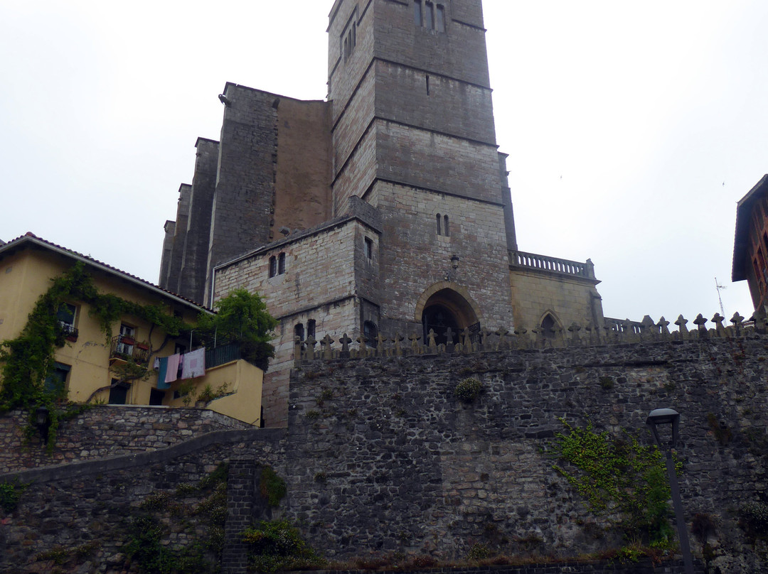 St. Peter the Apostole Parish景点图片