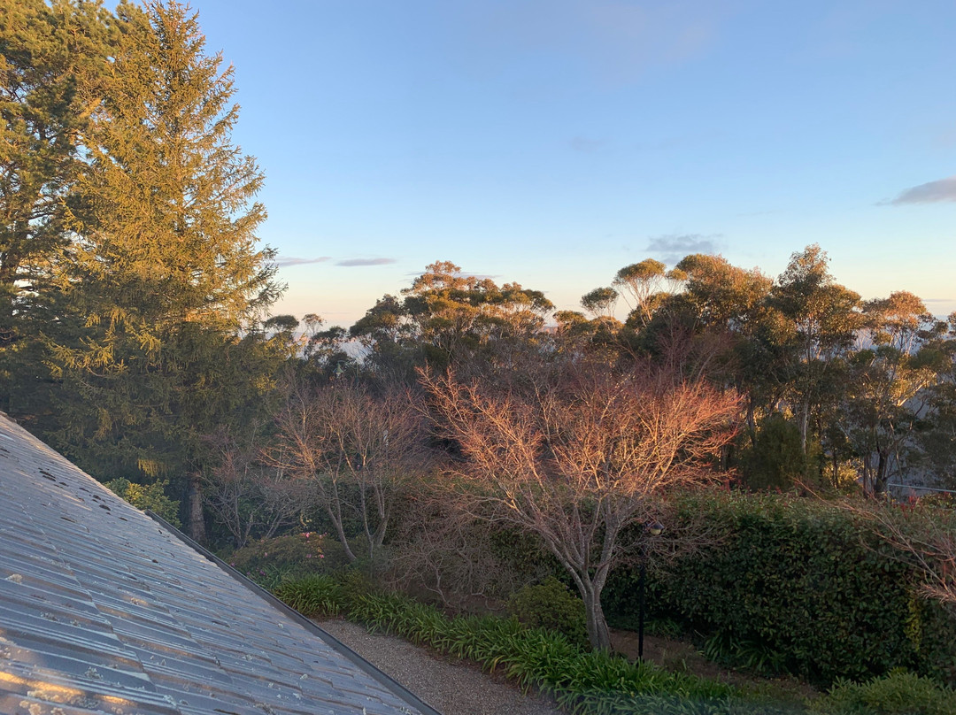 丽丽安菲尔斯度假酒店及水疗中心主图