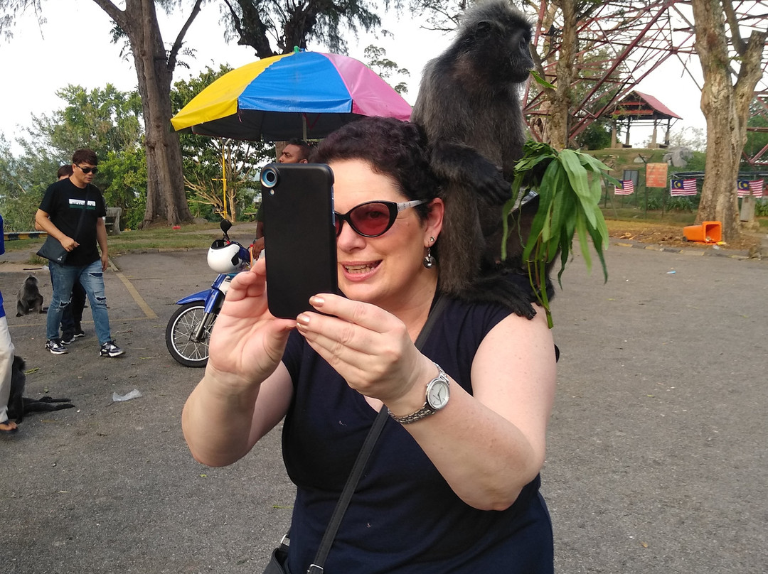 Bukit Melawati-瓜拉雪兰莪必去景点