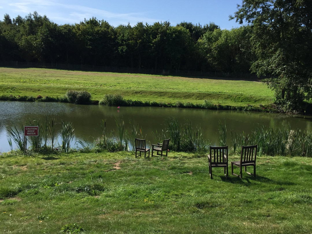 Dedham Vale Vineyard - Winery And Estate景点图片