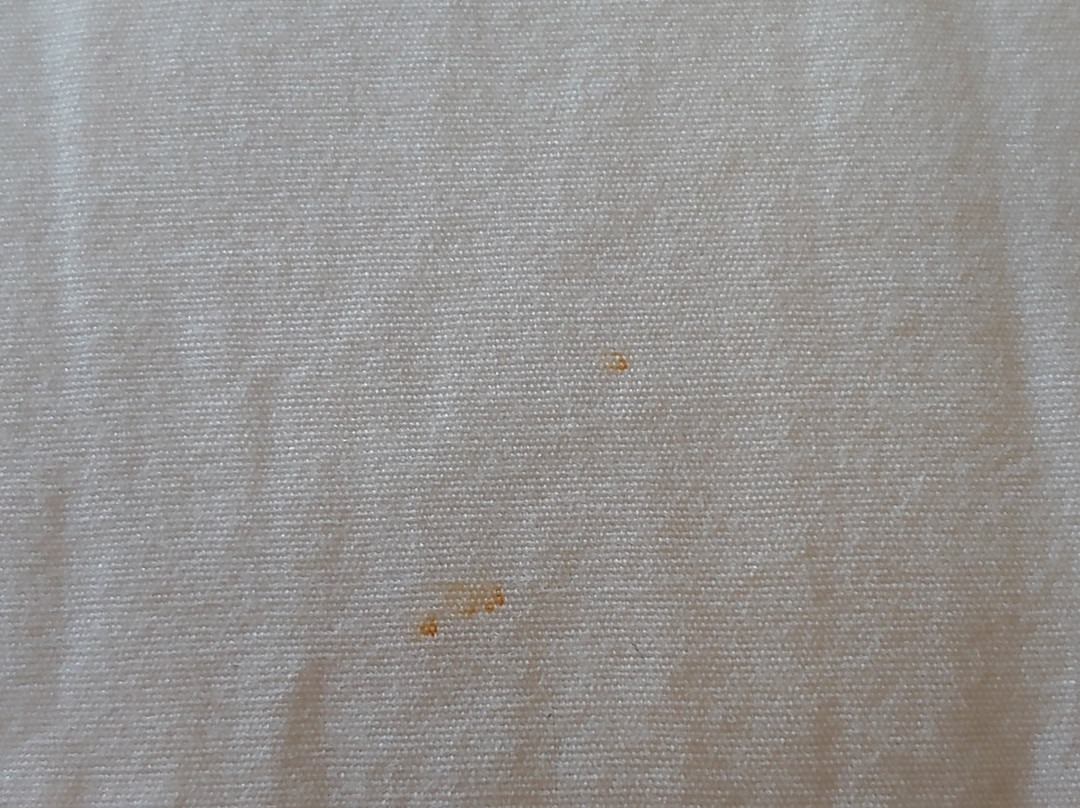 Bangor Grande Hotel & Conference Center主图