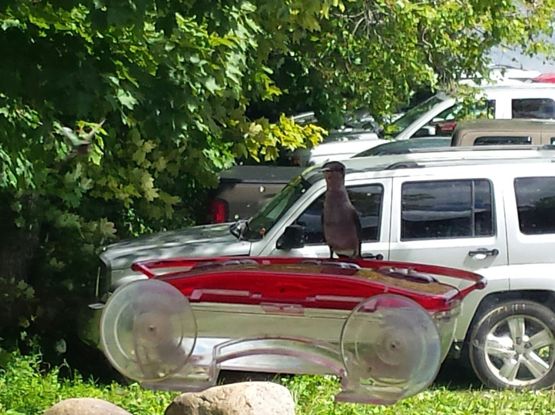 Stillwater Hotel主图