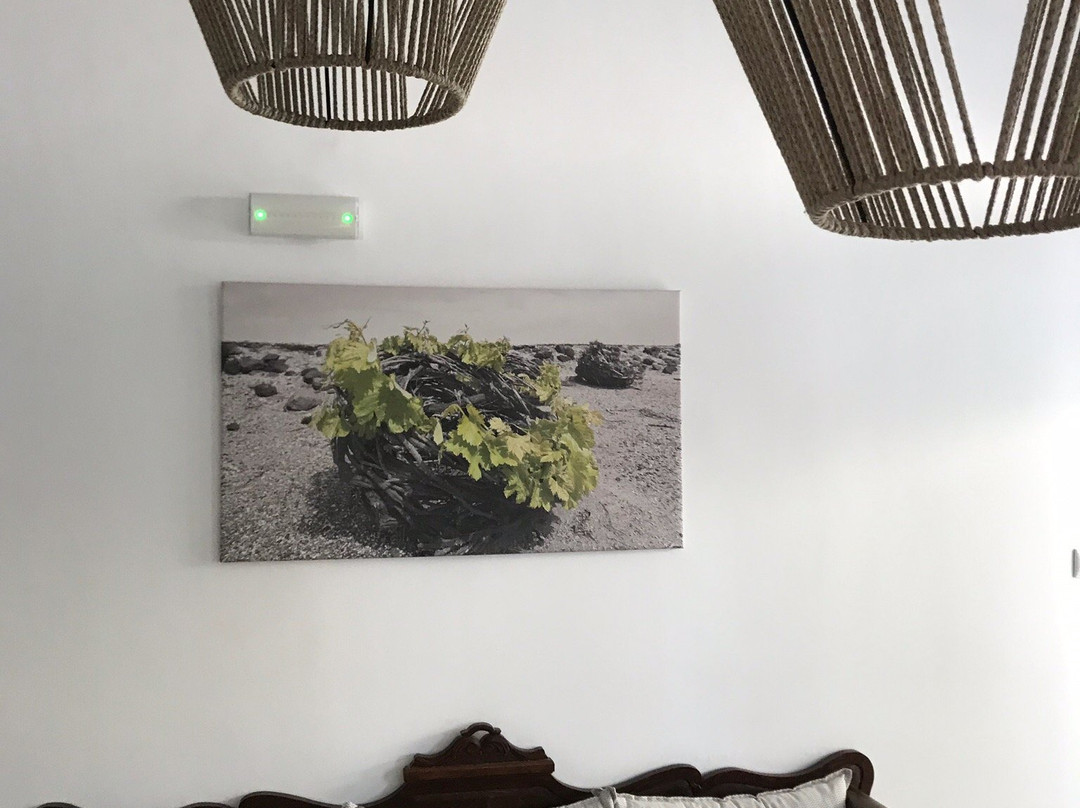 Hotel Eucalyptus主图