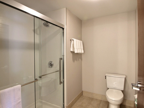 智选假日套房酒店-丰迪拉克主图