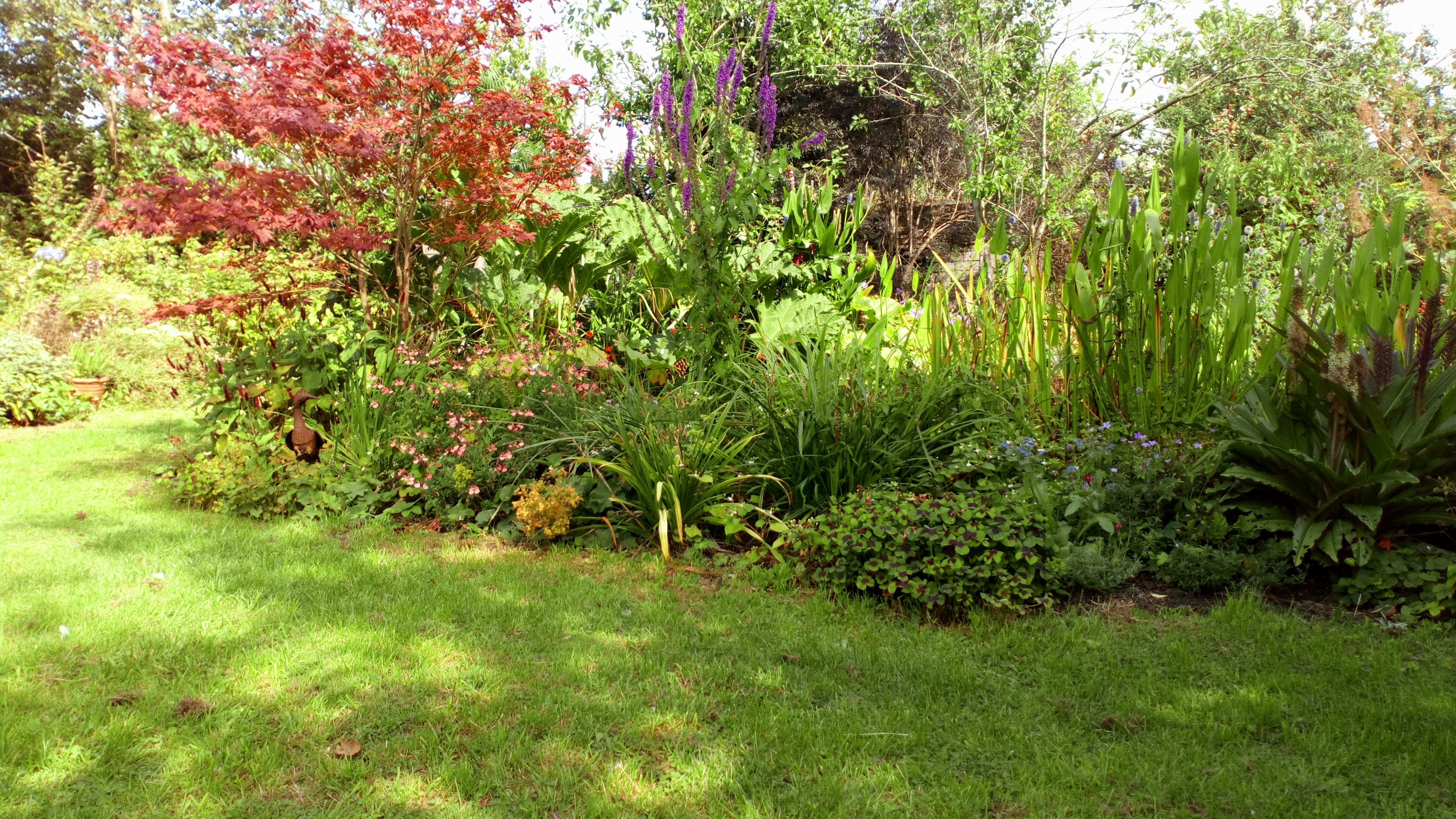 Torridge House Bed & Breakfast-官方