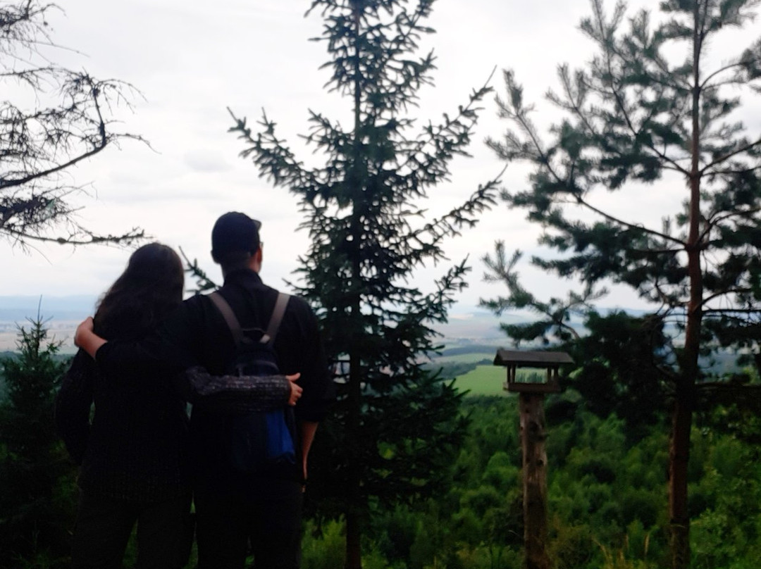 Penzion Partizan主图