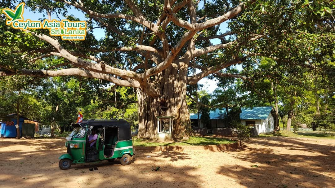 Ceylon Asia Tours-哈顿必去景点