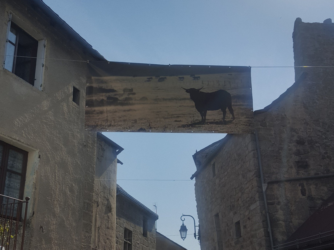 Office de Tourisme d'Aumont-Aubrac - Aubrac Lozérien-Aumont Aubrac必去景点