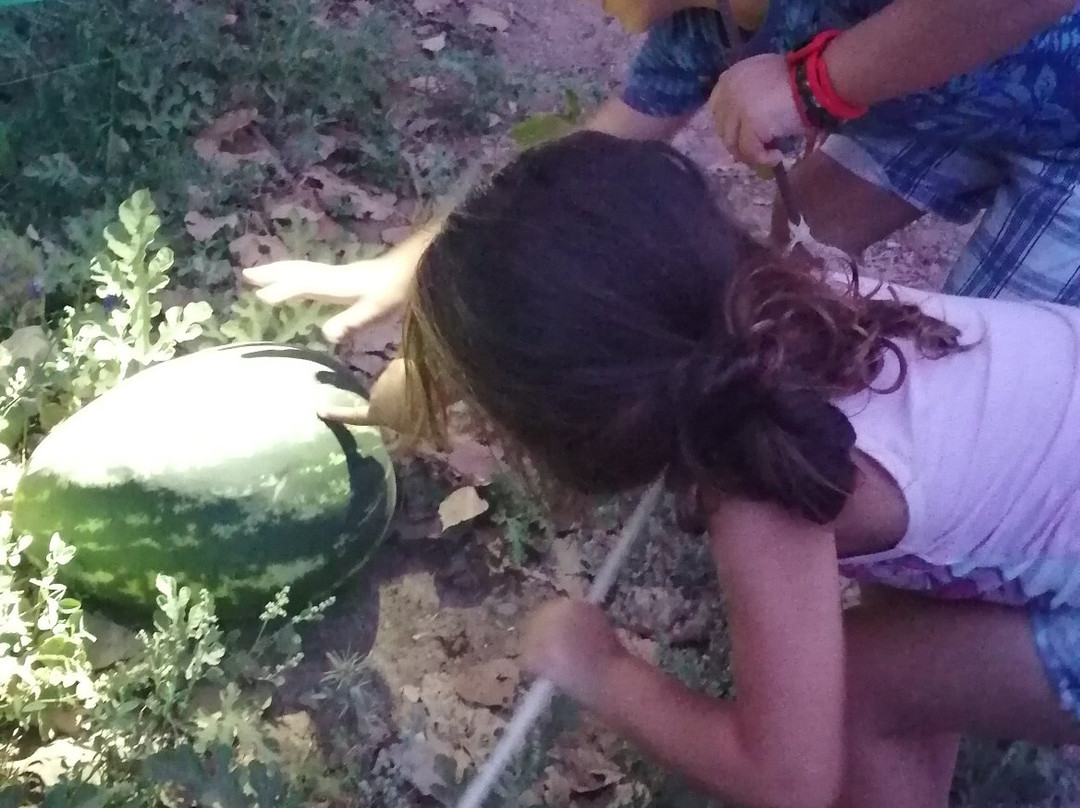 Masia El Molinete主图