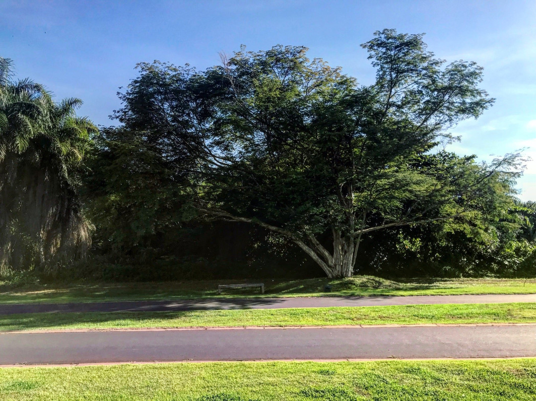 Cimba Park景点图片