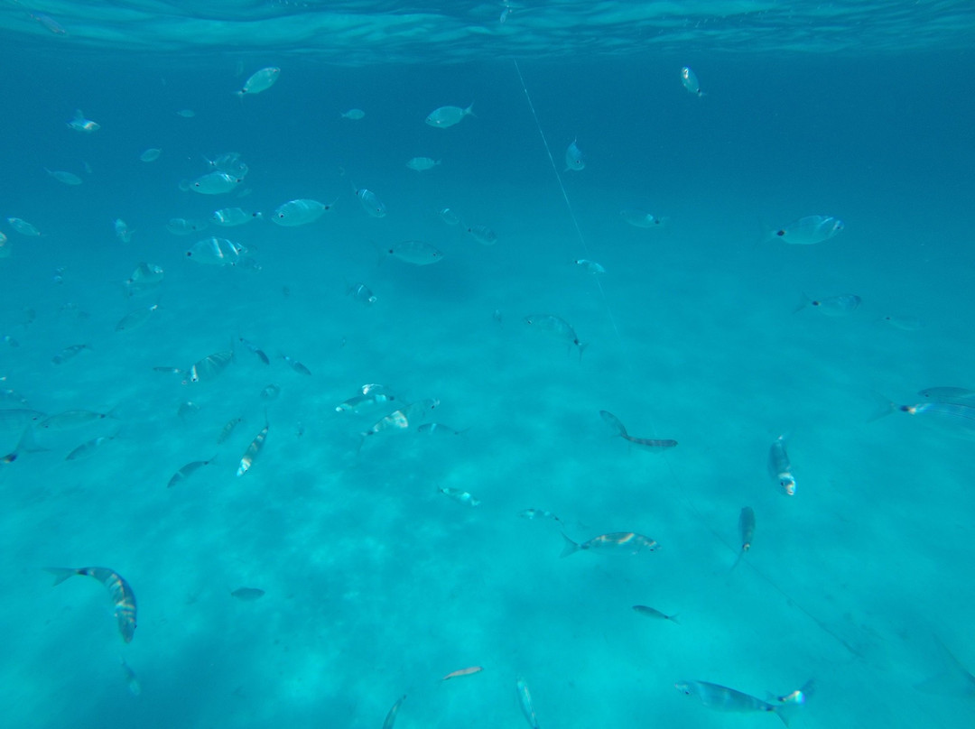 Olbia Boat Rental-奥尔比亚必去景点