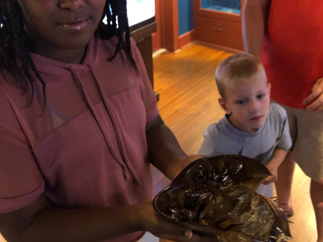 Ocean City Life-Saving Station Museum-大洋城必去景点