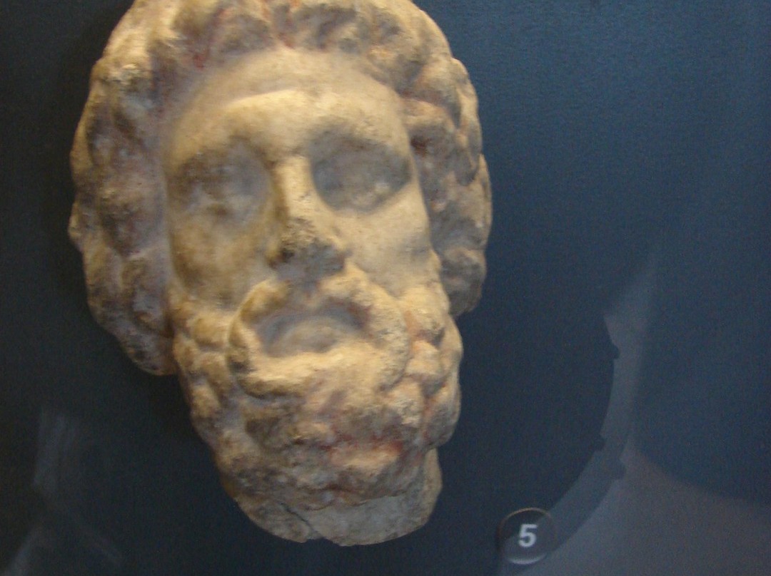 Troya Müzesi景点图片