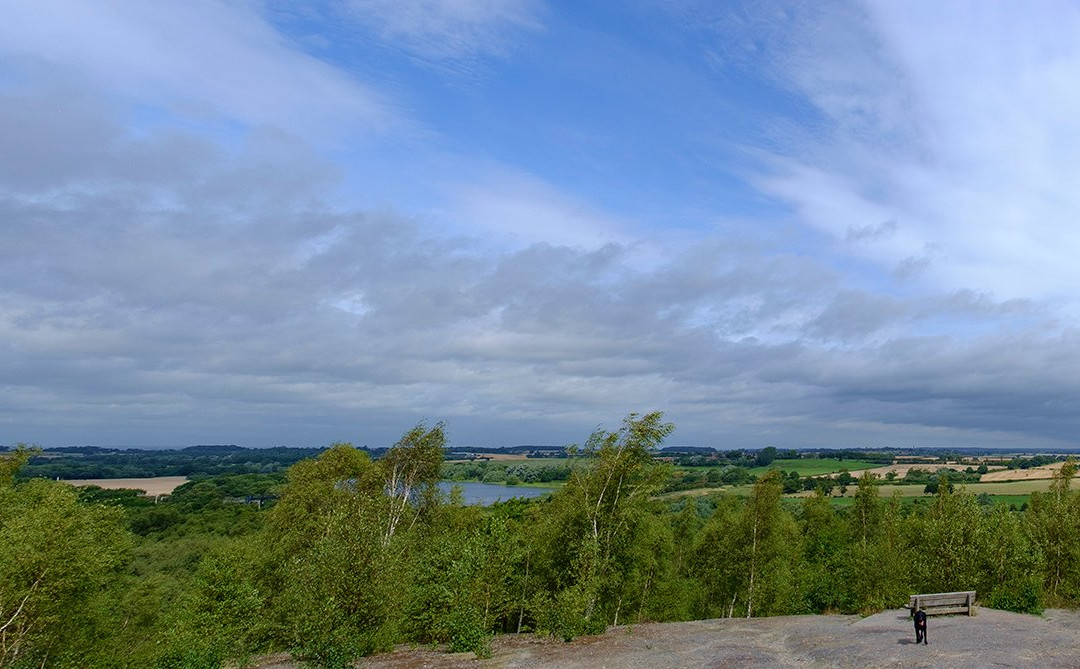 Pooley Country Park景点图片