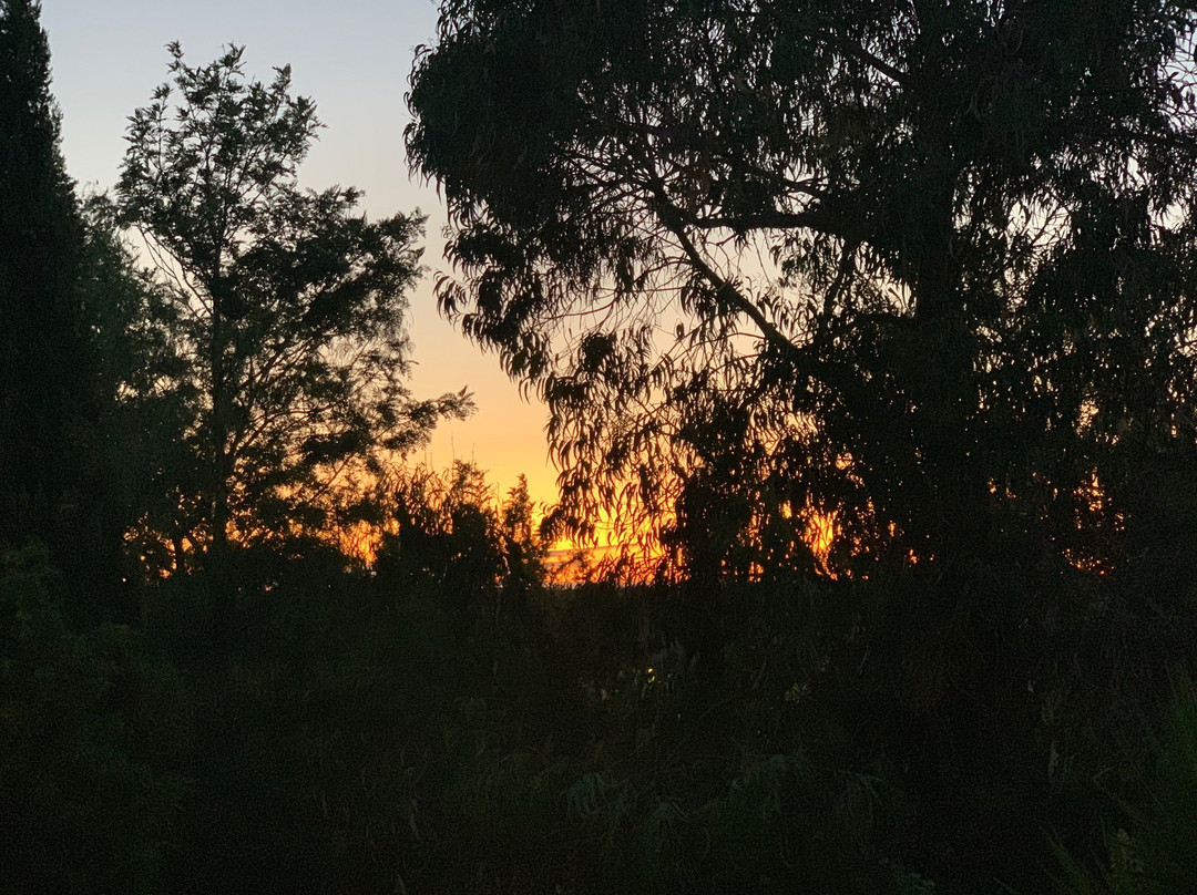 B&B Pittoresco主图