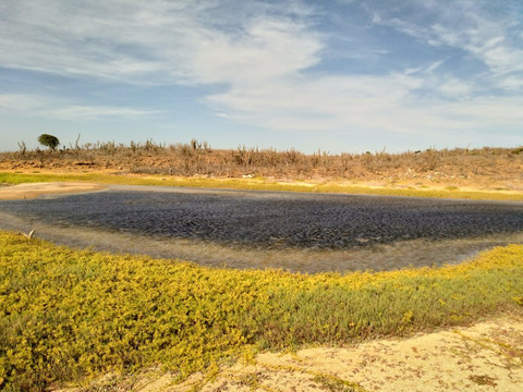 Expotur-Riohacha必去景点