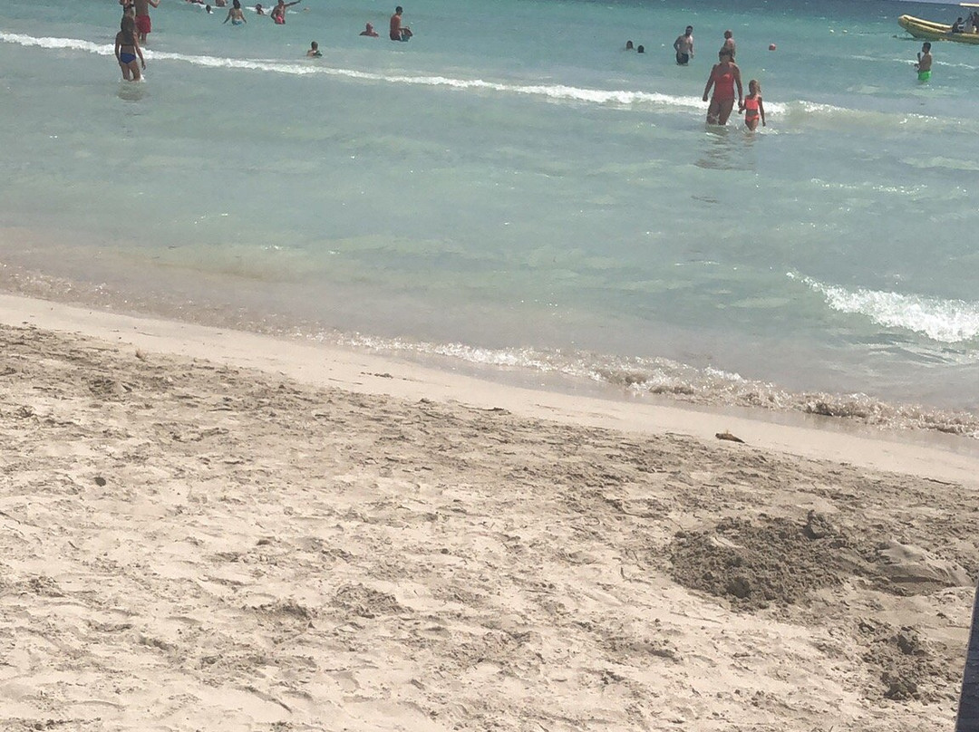 Playa Porto Novo-Palmanova必去景点