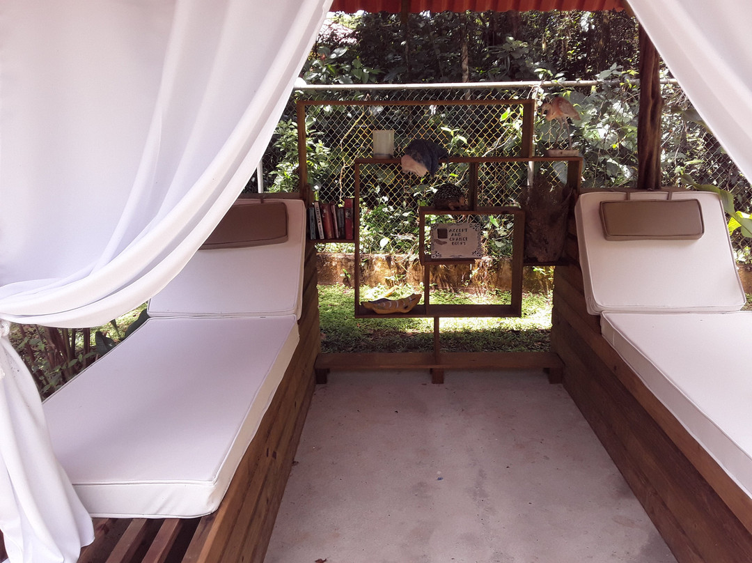 The Monkey Bowl主图