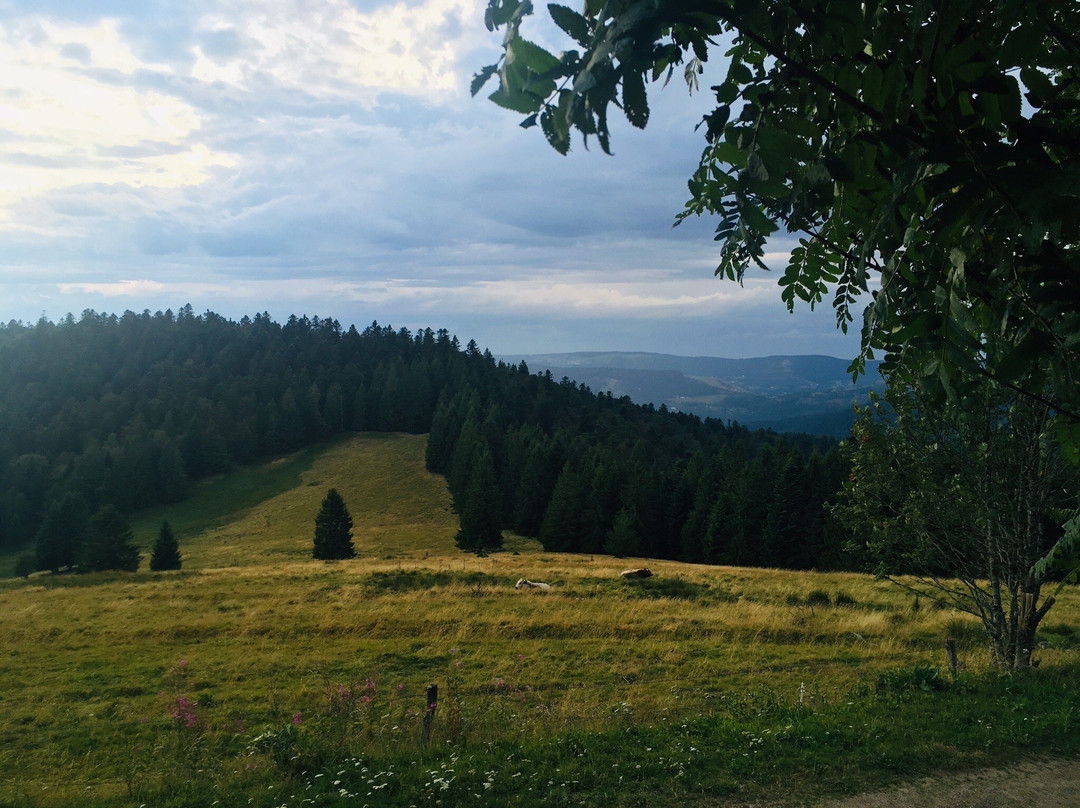 Auberge de la Chaume主图