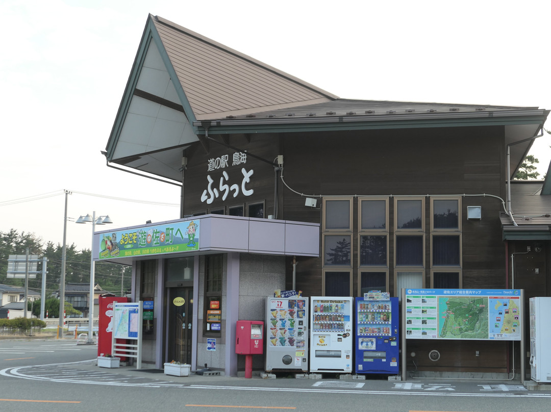 Chokai Michi-no-Eki景点图片