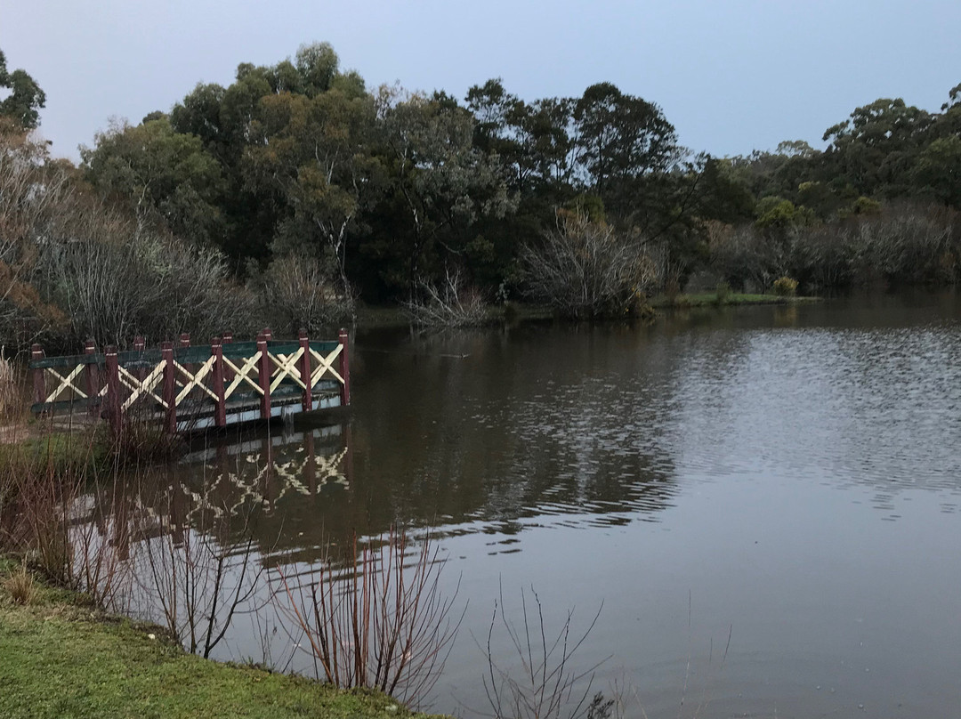 Wombat Flat Mineral Spring-戴尔斯福特必去景点