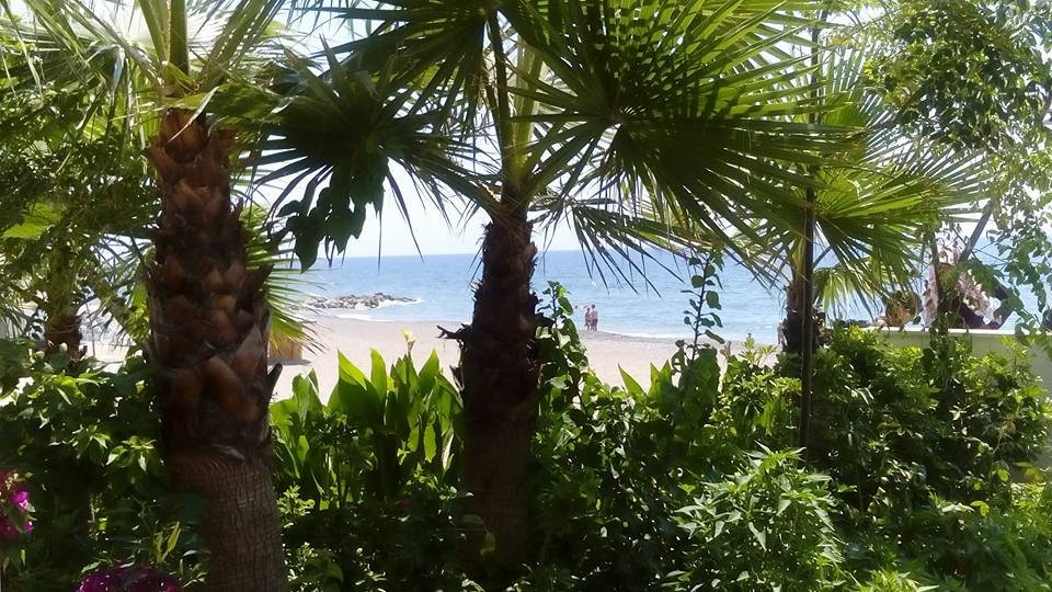 Amelia Beach Resort Hotel & Spa主图