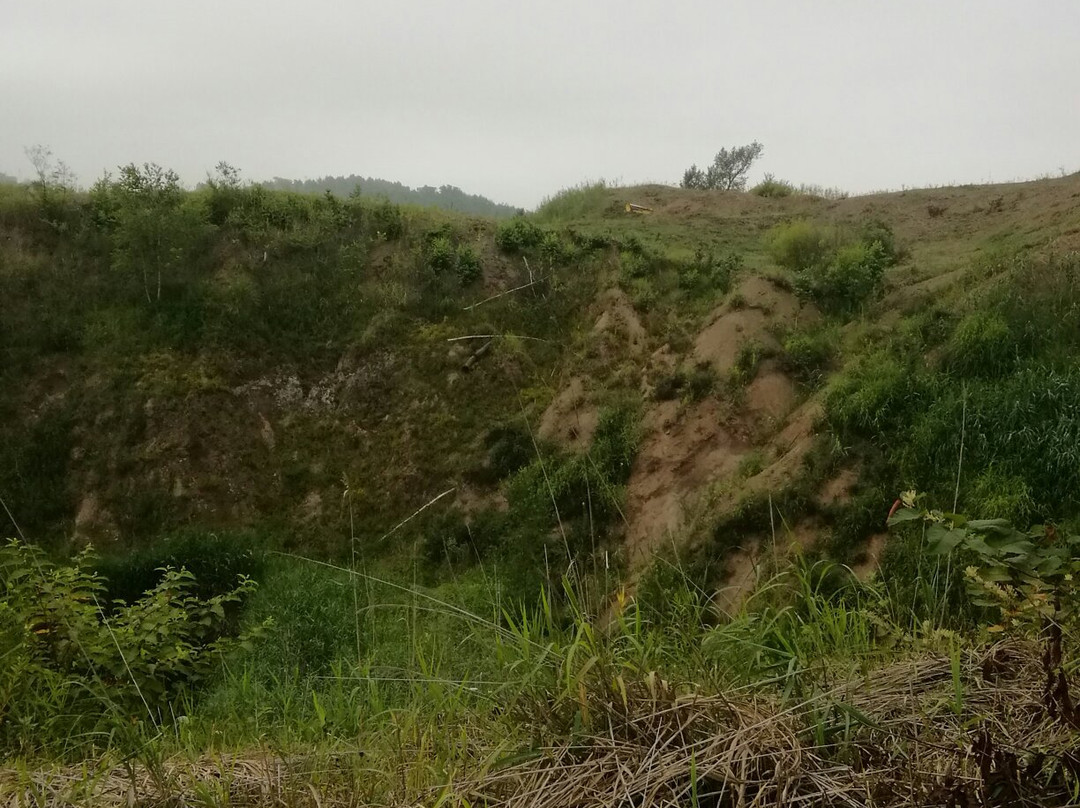 西山山麓火山口散步道景点图片