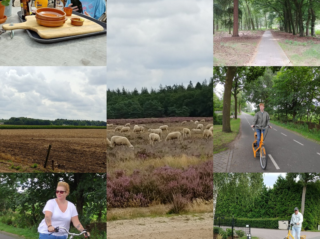 Veluwe Specialist Otterlo-奥特洛必去景点