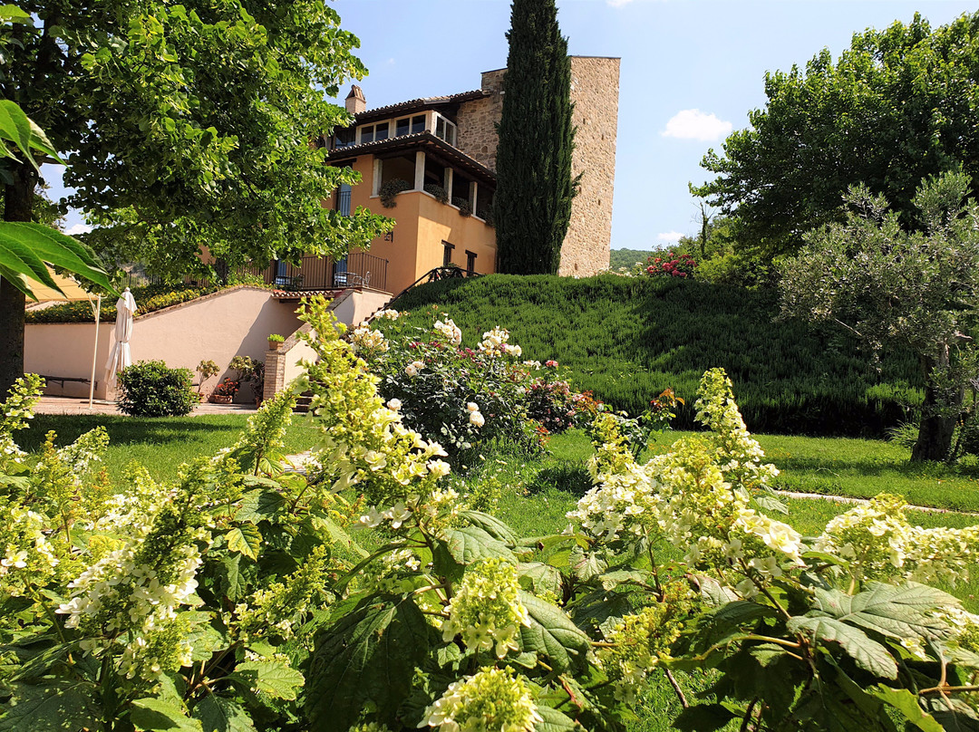 Le Vignole Country House主图
