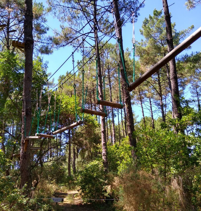 Landes Aventure景点图片