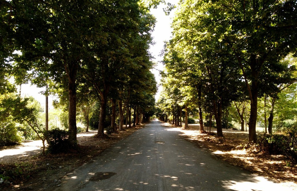 Nea Madytos Pedestrian Zone-Nea Madytos必去景点