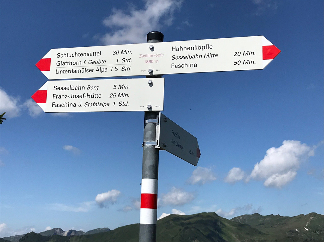 Alpenresort Walsertal主图