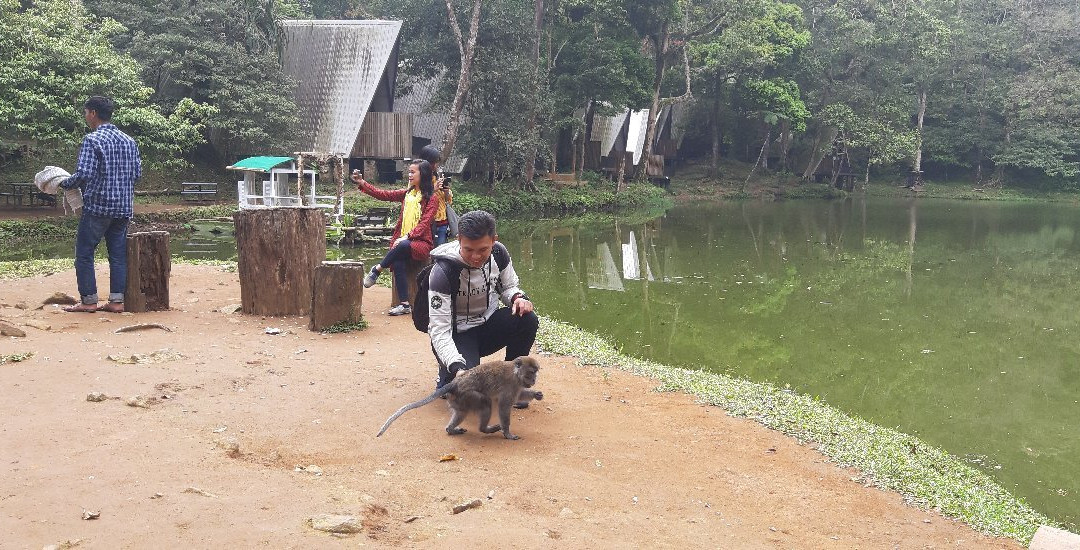 Telaga Warna Puncak-本哲必去景点