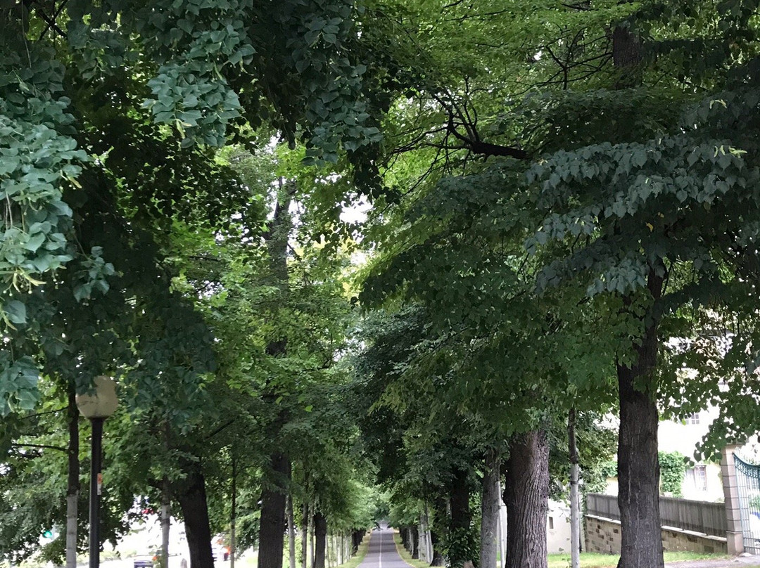 Campuszwei Hotel & Boardinghouse主图