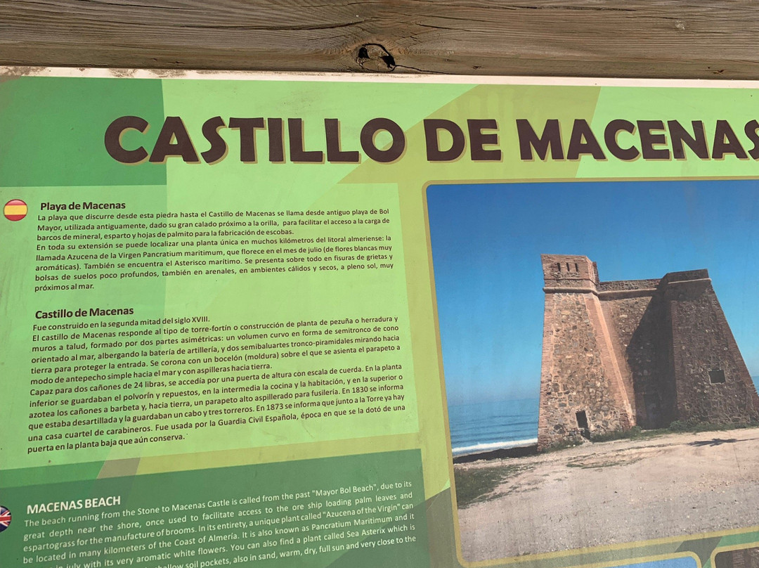 Torre de Macenas景点图片