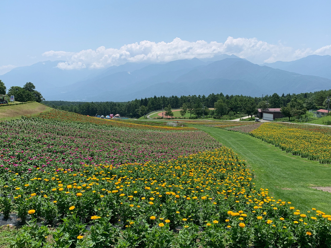 Fujimi Kogen Rresort Hananosato-富士见町必去景点