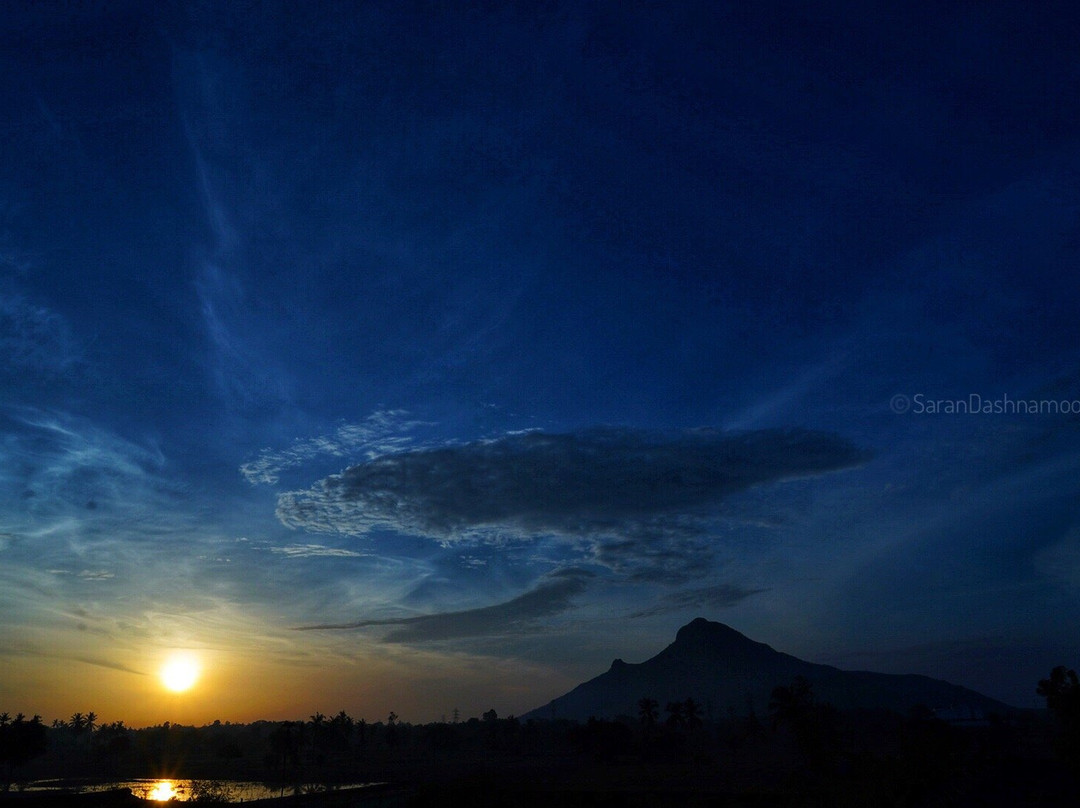 Mountain Saran Tours景点图片