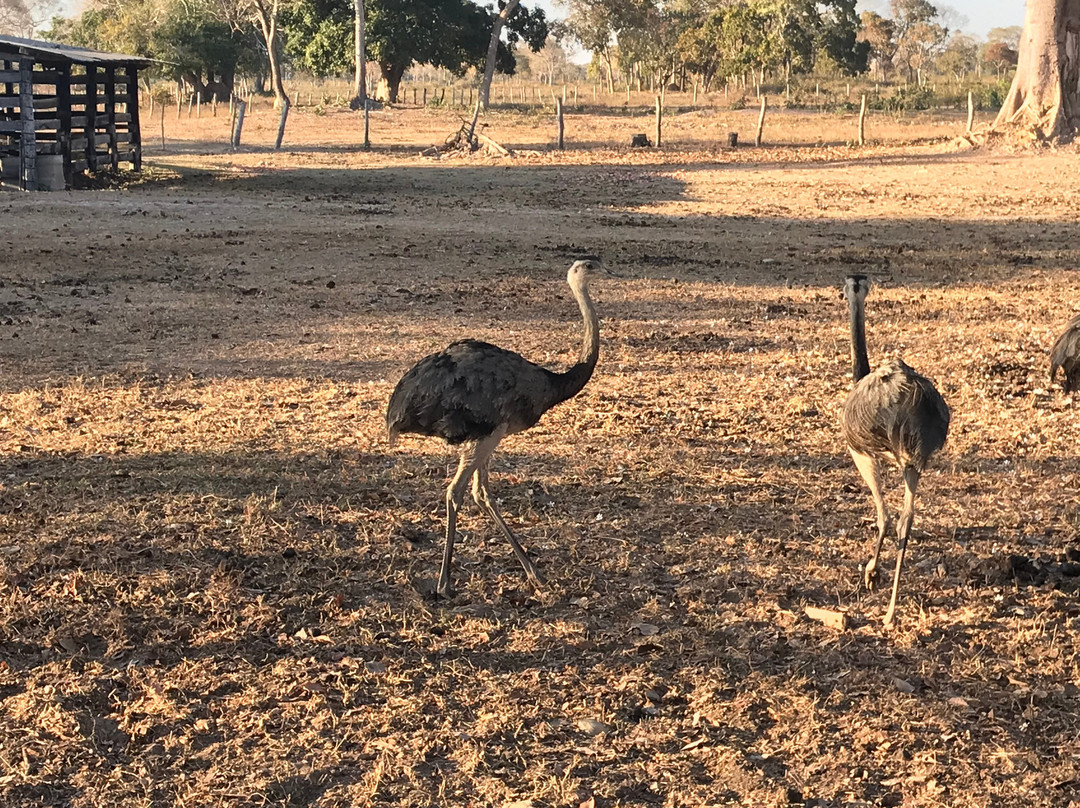 Pousada Canto do Arancua主图
