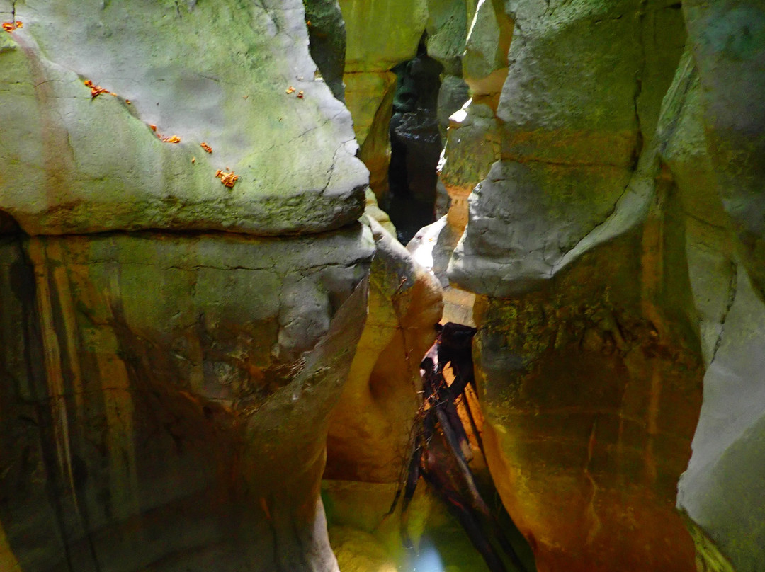 Terra Nova Canyoning景点图片