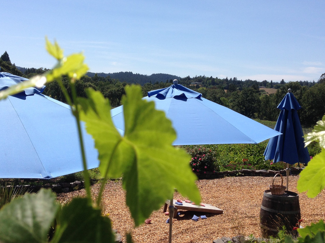 Russian River Vineyards-Forestville必去景点