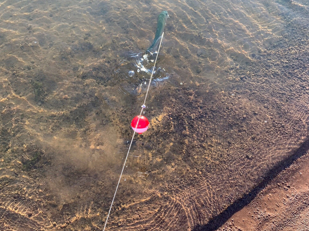 Creekside Lodge主图